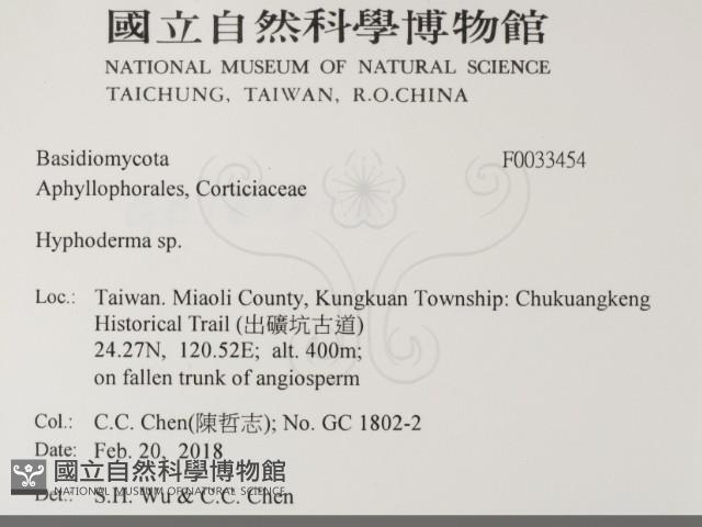 絲皮菌屬藏品圖，第2張