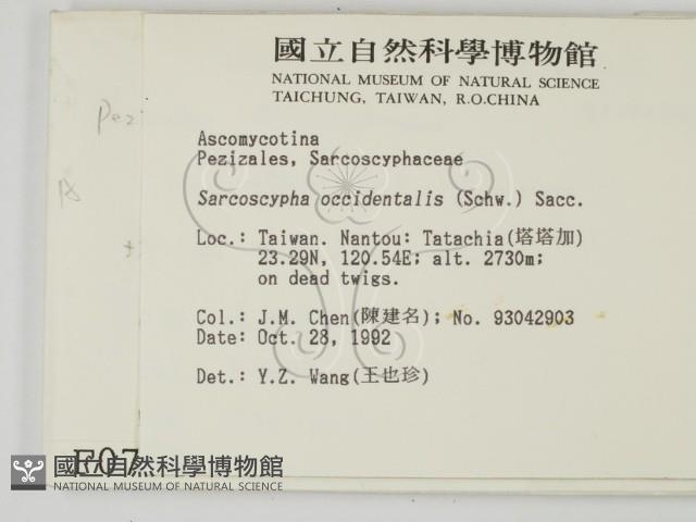 登錄號:F0000754藏品圖，第2張