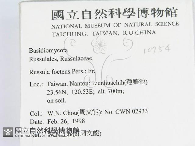 登錄號:F0010754藏品圖，第2張