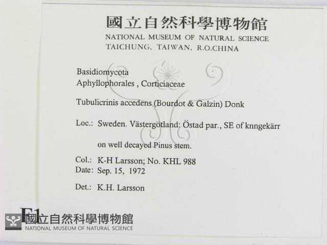 登錄號:F0016754藏品圖，第2張