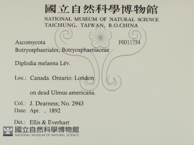 登錄號:F0011754藏品圖，第2張
