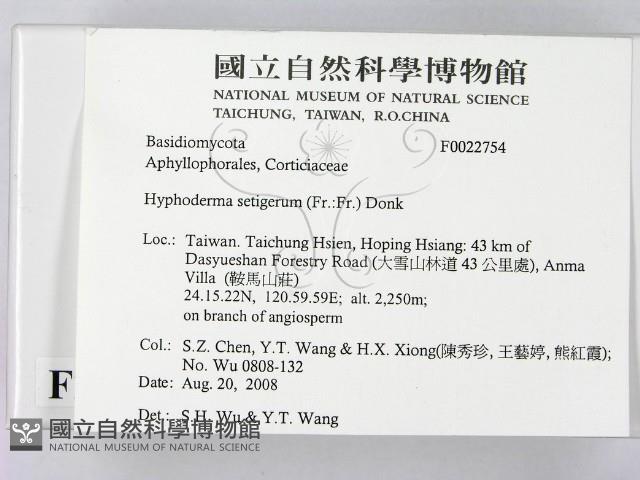 剛毛絲皮菌藏品圖，第2張