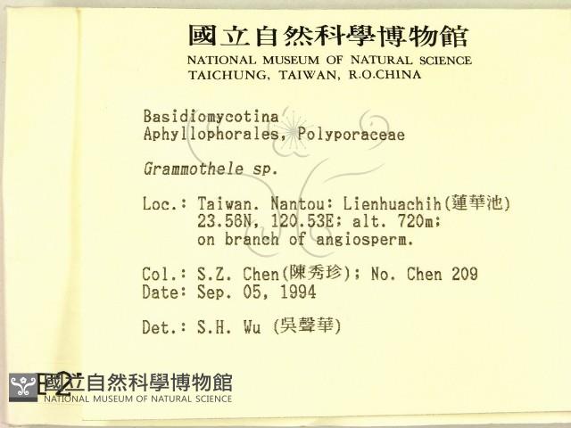 登錄號:F0002754藏品圖，第2張