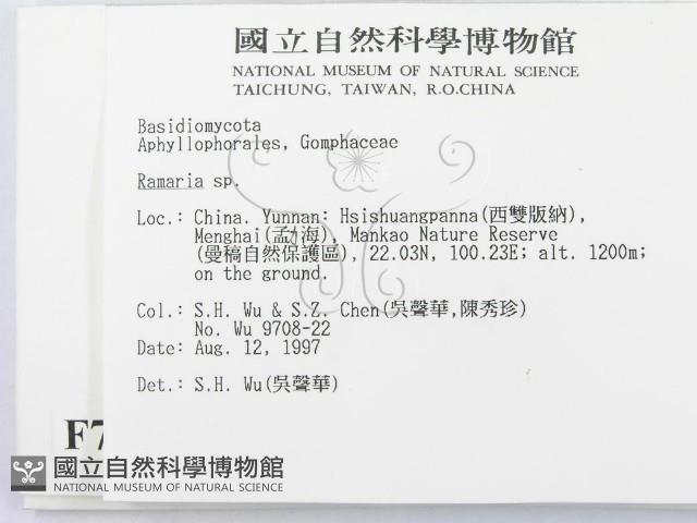 登錄號:F0007754藏品圖，第2張