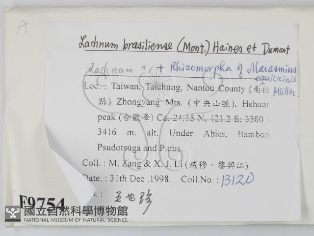 登錄號:F0009754藏品圖，第2張