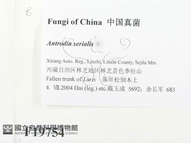 登錄號:F0019754藏品圖，第2張