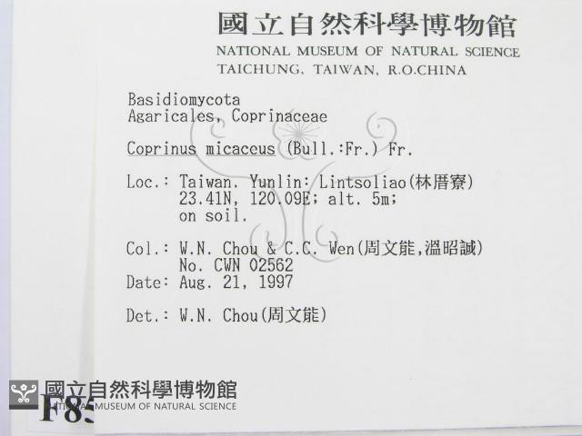 登錄號:F0008554藏品圖，第2張