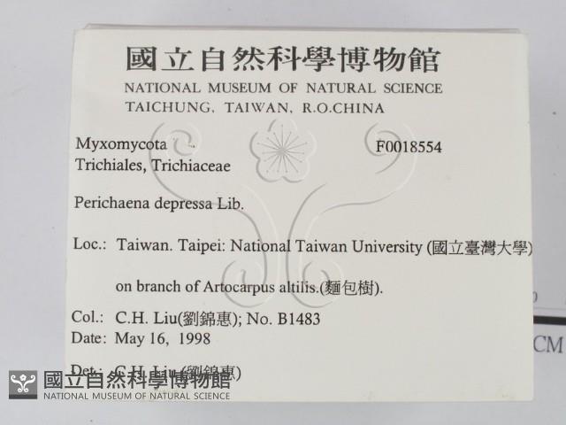 登錄號:F0018554藏品圖，第2張