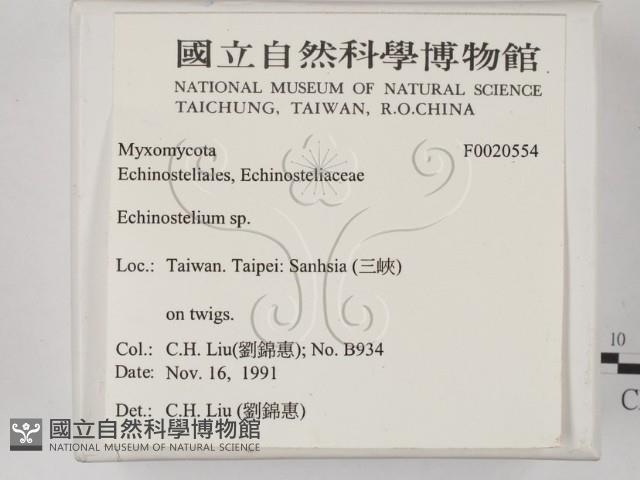 登錄號:F0020554藏品圖，第2張
