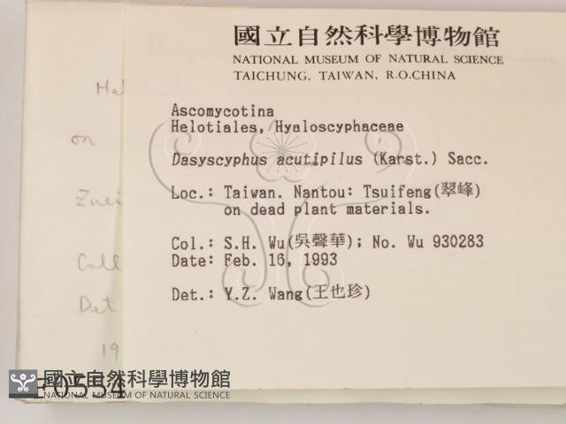 登錄號:F0000554藏品圖，第2張