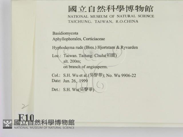 登錄號:F0010554藏品圖，第2張