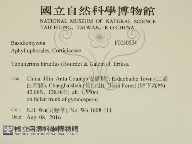 登錄號:F0030554藏品圖，第2張