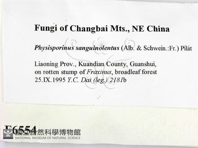 登錄號:F0006554藏品圖，第2張