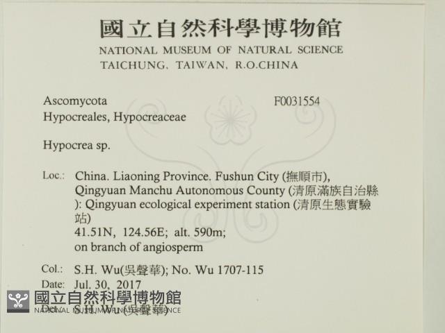 登錄號:F0031554藏品圖，第2張