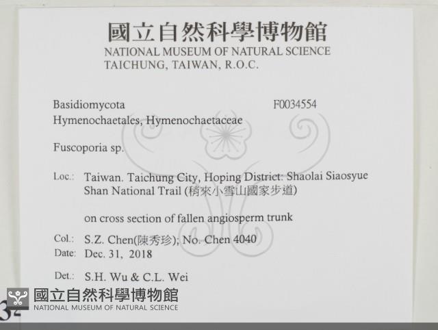 登錄號:F0034554藏品圖，第2張