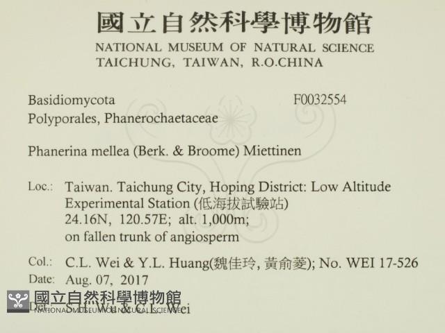 登錄號:F0032554藏品圖，第2張