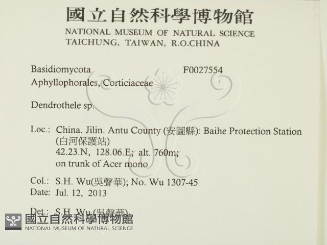 登錄號:F0027554藏品圖，第2張