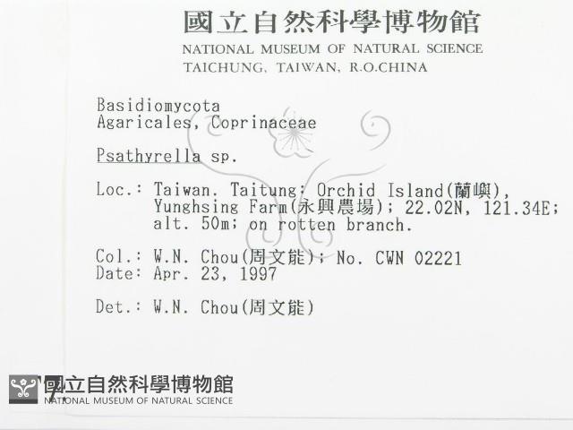 登錄號:F0007554藏品圖，第2張