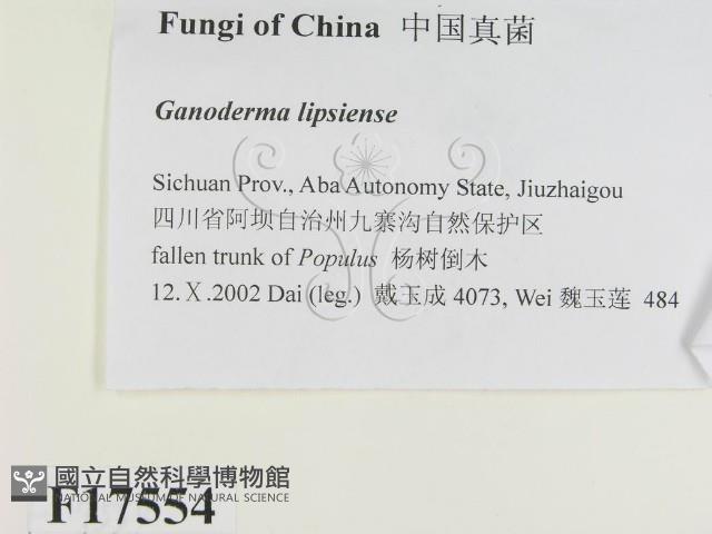 登錄號:F0017554藏品圖，第2張