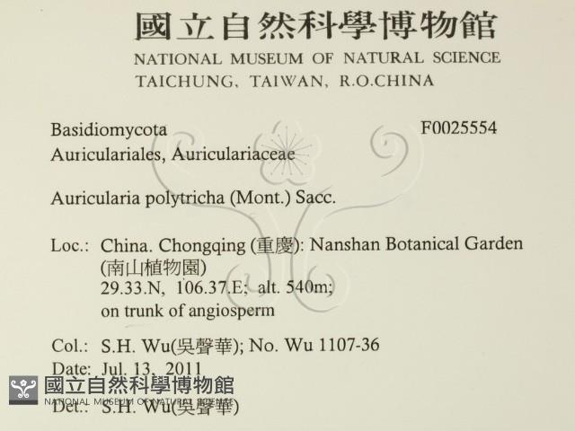 毛木耳藏品圖，第2張