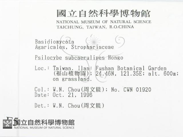 登錄號:F0005554藏品圖，第2張