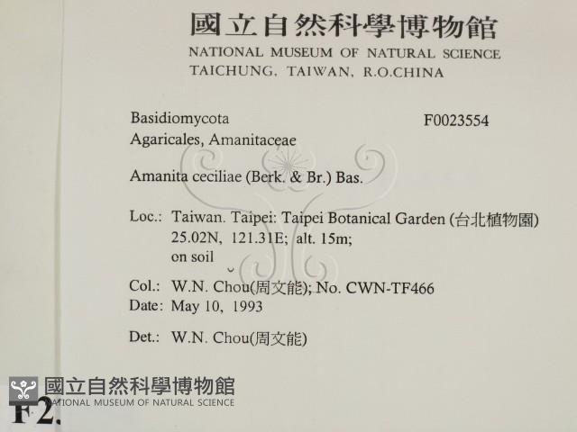 登錄號:F0023554藏品圖，第2張