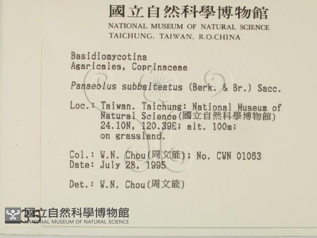 登錄號:F0003554藏品圖，第2張