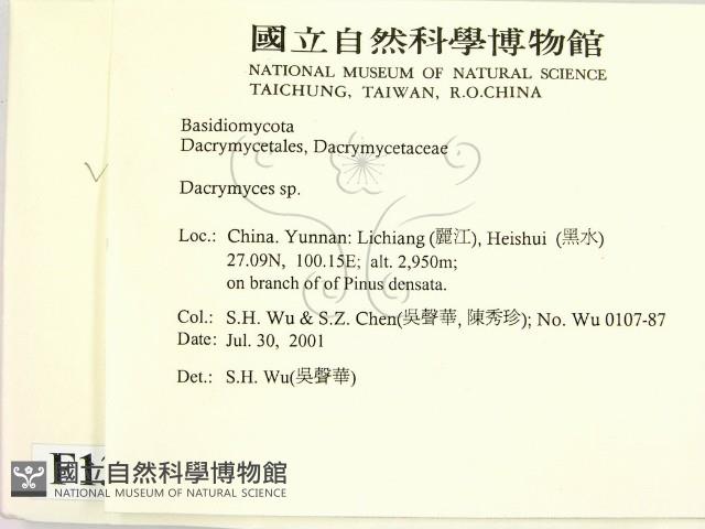 花耳屬藏品圖，第2張