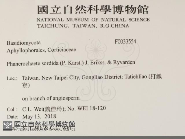 登錄號:F0033554藏品圖，第2張