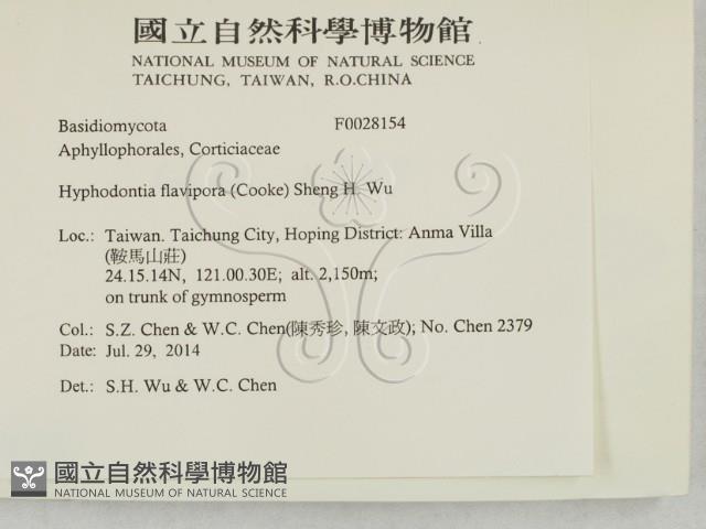 登錄號:F0028154藏品圖，第2張