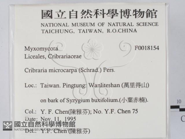 登錄號:F0018154藏品圖，第2張
