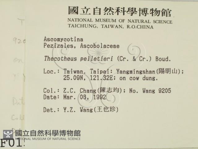 登錄號:F0000154藏品圖，第2張