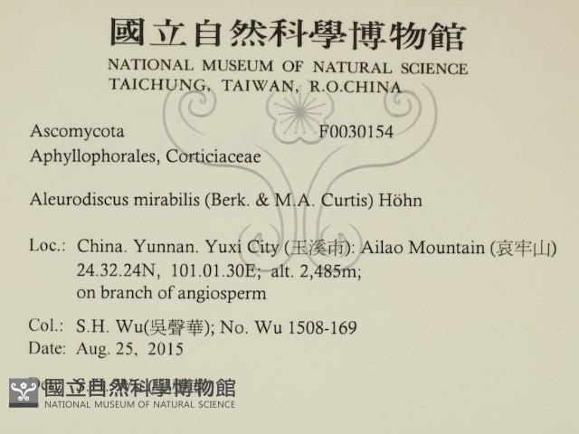 登錄號:F0030154藏品圖，第2張