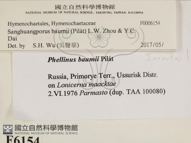 登錄號:F0006154藏品圖，第2張