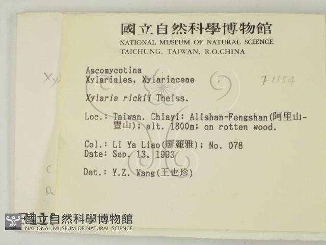 登錄號:F0001154藏品圖，第2張