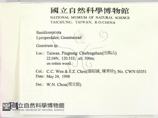 地星屬藏品圖，第2張