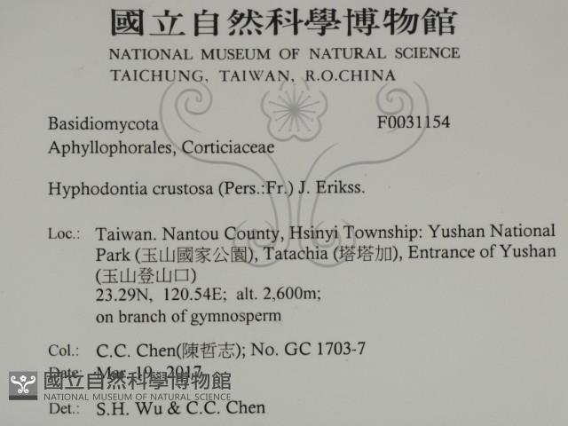 登錄號:F0031154藏品圖，第2張