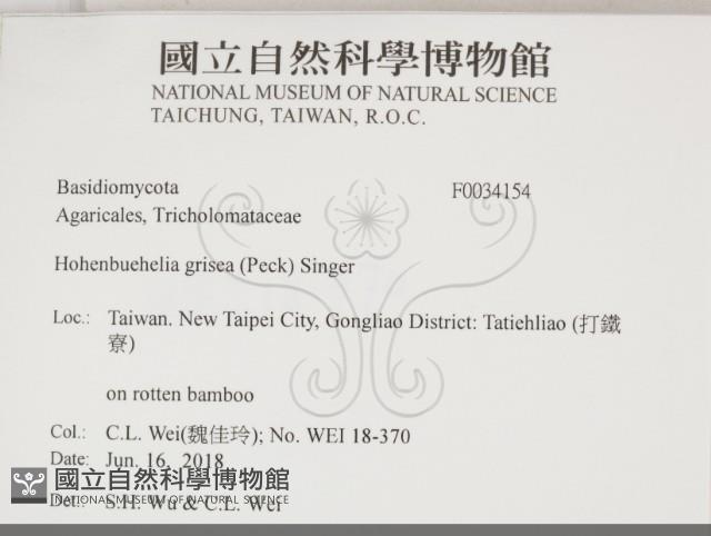 登錄號:F0034154藏品圖，第2張