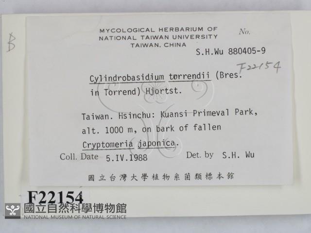 登錄號:F0022154藏品圖，第2張