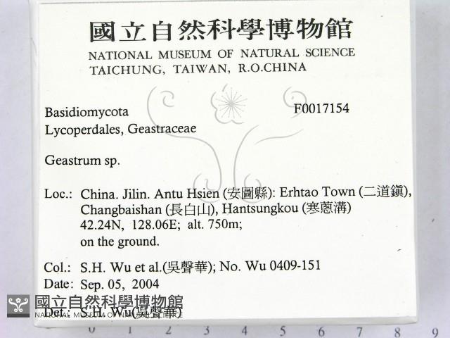 地星屬藏品圖，第2張