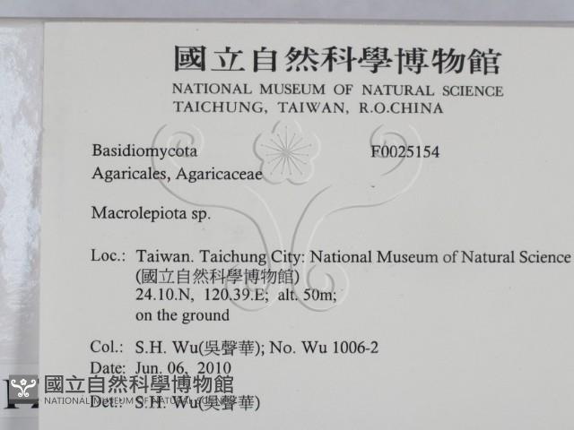 登錄號:F0025154藏品圖，第2張