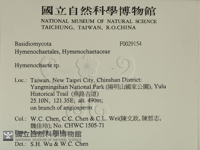 刺革菌屬藏品圖，第2張