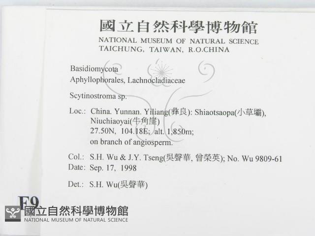登錄號:F0009154藏品圖，第2張