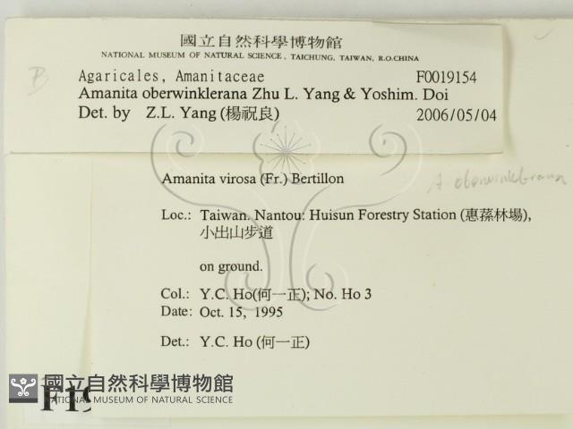登錄號:F0019154藏品圖，第2張