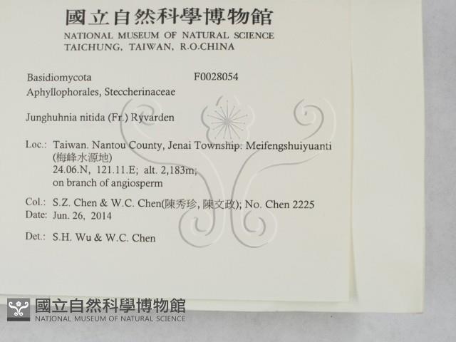 登錄號:F0028054藏品圖，第2張