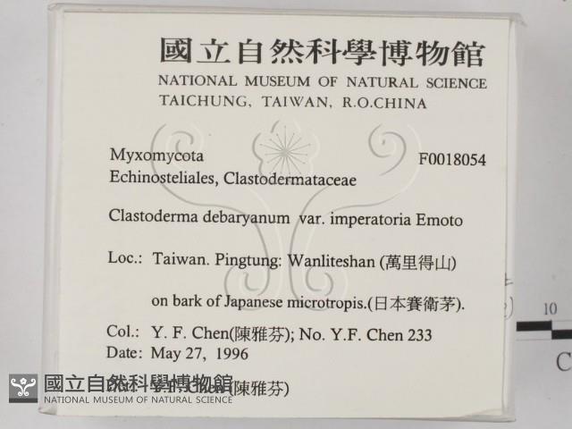 登錄號:F0018054藏品圖，第2張
