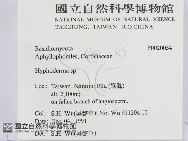 絲皮菌屬藏品圖，第2張