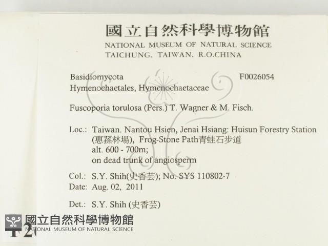 登錄號:F0026054藏品圖，第2張