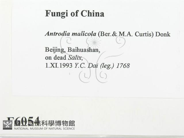 登錄號:F0006054藏品圖，第2張