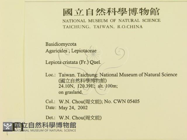 登錄號:F0016054藏品圖，第2張